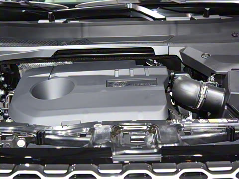 2021�� P300e ���ܿƼ���