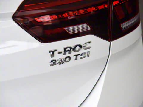 2019�� 230TSI DSG������ȡ�� ��VI