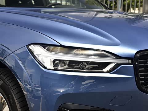 2021�� T5 ���������˶���