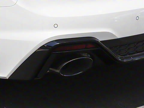 2024�� RS 5 2.9T Sportback ȼ���