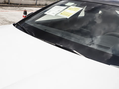 2024�� RS 5 2.9T Sportback ȼ���