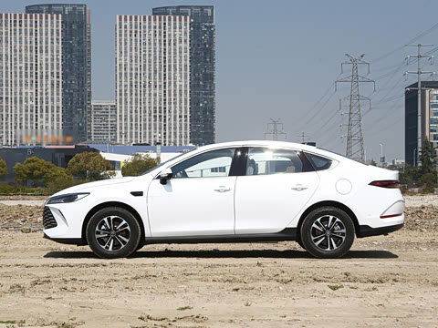 2025�� DM-i �Ǽݰ� 120KM��Խ��