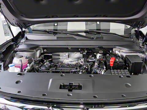 2025�� 1.5T ��ԭ�� 5��