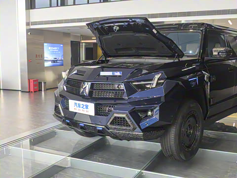 2025�� M900 ������