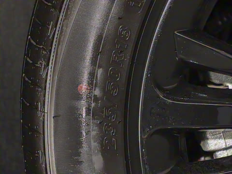 2024�� ���� 216������