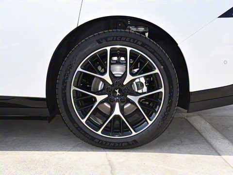 2025�� �������� Max �콢��