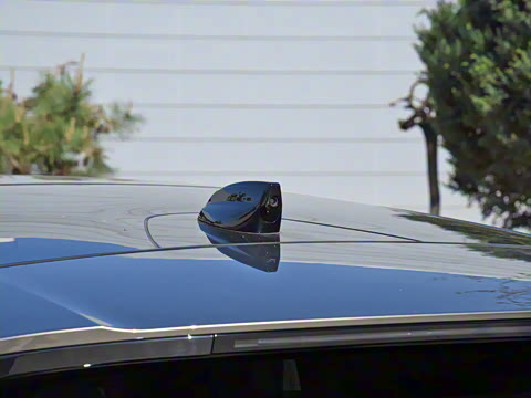 2021�� ����L P300e ������