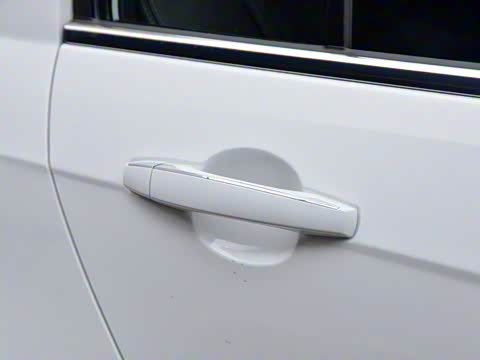 2019�� ����� 1.5L �ֶ��������˰� ��V