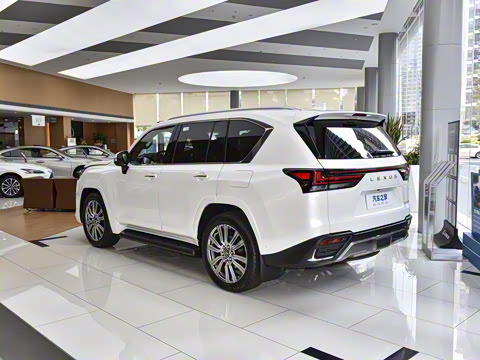 2025�� 700h VIP������