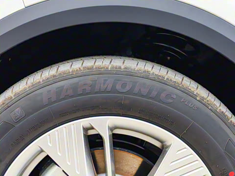 2025�� 565km ������