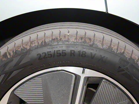 2024�� 605km ɭ�ּӳ�������