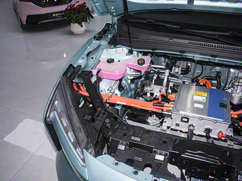 2025�� ������pro