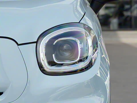 2025�� 310������