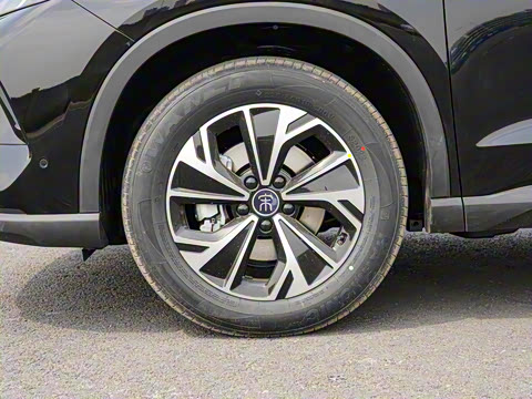 2025�� �ڶ��� �Ǽݰ� DM-i 115KM��Խ��