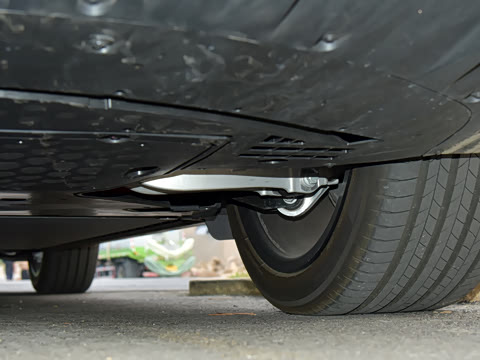 2025�� ������������������Max��