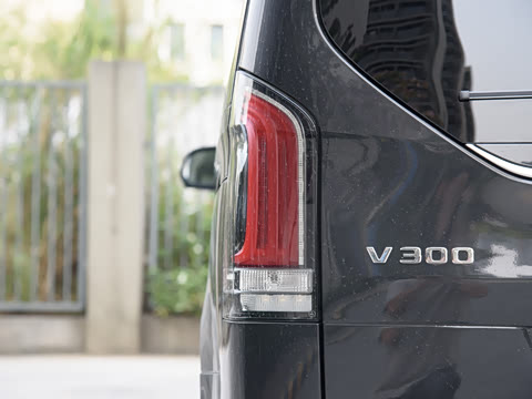 2024�� V 300 �캽��