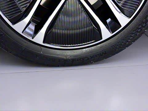 2020�� EV ���������������