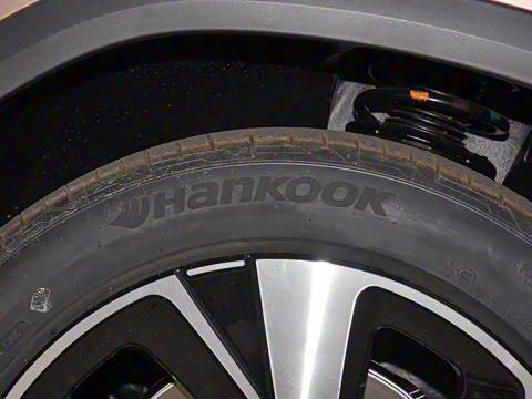 2022�� ������������