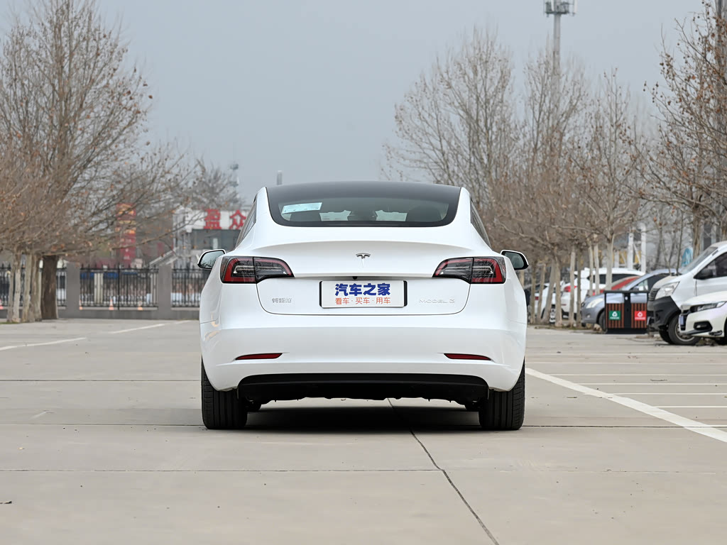 Tesla Model 3 I, Седан: фото поколения