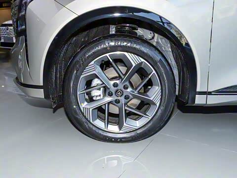 2025�� ���Ĵ� 1.5T ������ �ǻ�������