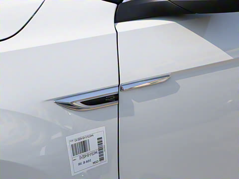 2025�� 300TSI DSG�����ǹ��