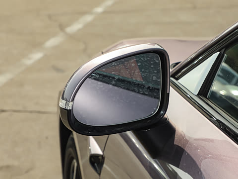 2025�� ���� Plus ��������