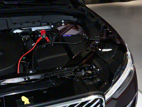 2026�� B5 �������ݺ�����