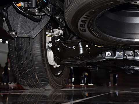 2025�� Autograph