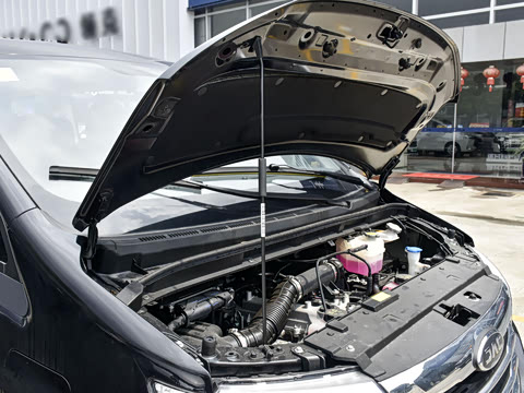 2025�� PLUS 2.0L ������ 9��