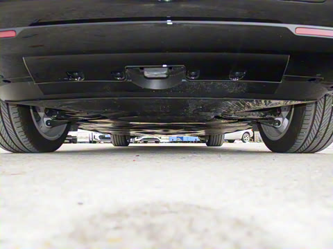 2025�� ����������Max