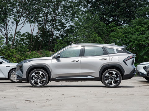 2025�� 3DHT 115km �ǽ���