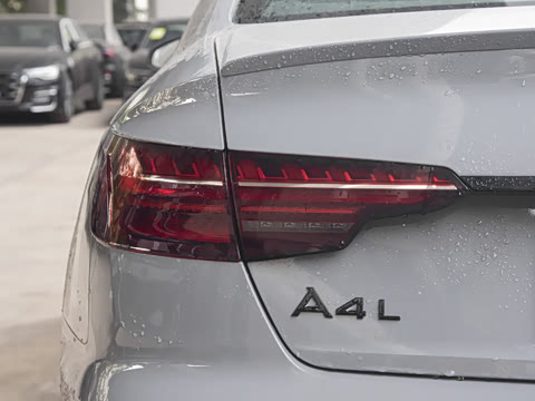 2025�� 200���������� 40 TFSI ���������� B&O ��ҹ��