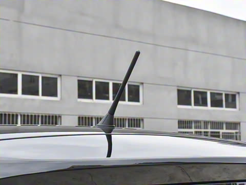 2022�� ������������ �������