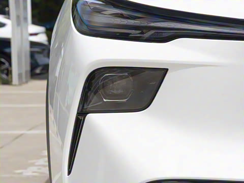 2025�� 445km ���ð�