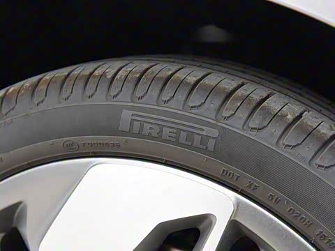 2019�� ��ά��׼�����ݷ���