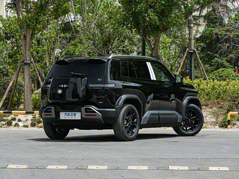 2025�� 501KM ����Max��