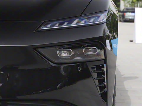 2025�� ���� 565����Max�캽��