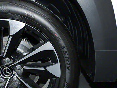 2023�� 2.5L ���а�