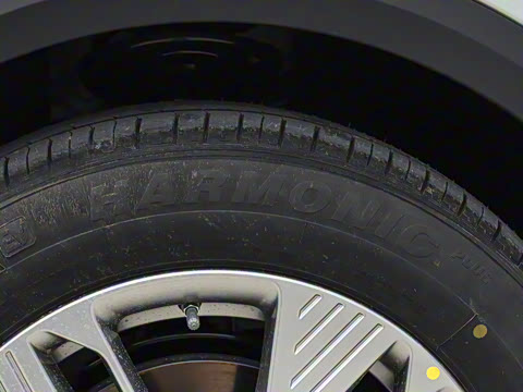 2025�� 565km ������