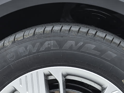 2025�� 565km ������