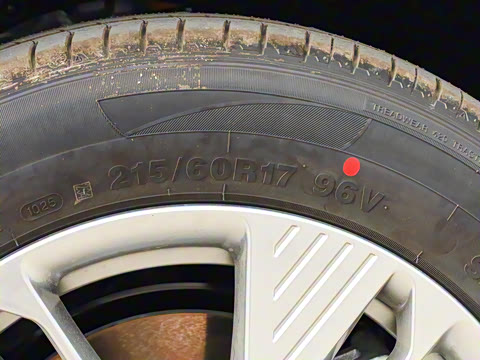 2025�� 565km ������