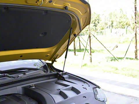 2019�� 350T Ԧ����