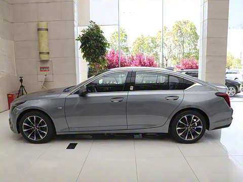 2025�� 28T �����˶���