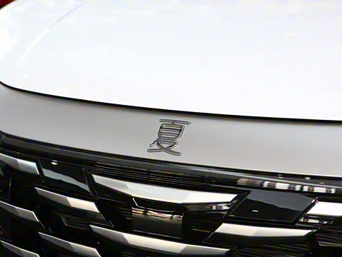 2025�� DM-i 1.5T 180km ��Խ��