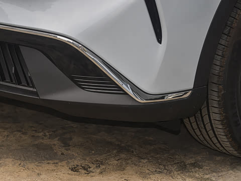 2025�� 565km ������