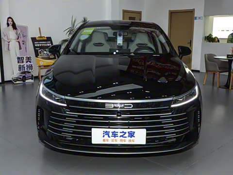 2024�� DM-i 55KM �캽��ҫ��