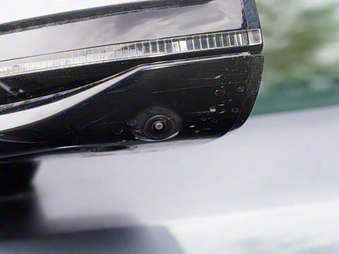 2025�� DM 175KM���˻���Ұ�