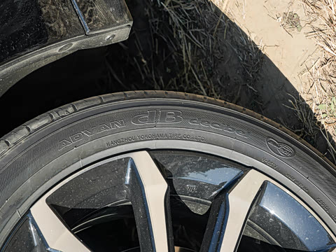 2025�� 240TURBO CVT�Ƽ���