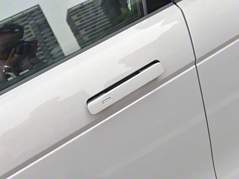 2021�� ����L P300e ������