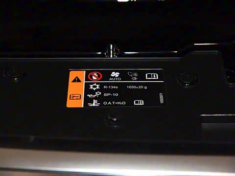 2019�� 30T ������������Ⱥ�콢��